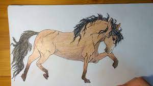 drawing a horse fantastic art drawings art