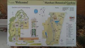 Maybe you would like to learn more about one of these? Stream By Walking Trail Picture Of Matthaei Botanical Gardens Ann Arbor Tripadvisor
