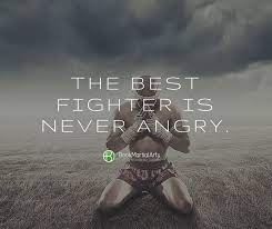 Looking for the best fighting quotes? Top 10 Motivational Quotes For Martial Artists Bookmartialarts Com