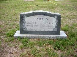 We did not find results for: Sophia Cassandra Harris 1894 1979 Find A Grave Memorial