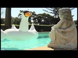 Check spelling or type a new query. Giant Inflatable Swan Pool Float Solutions Com Youtube