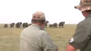 @racingblogger's video Tweet