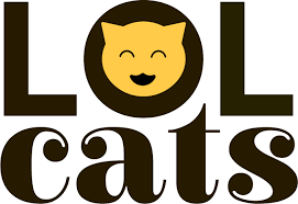 Image result for lolcats