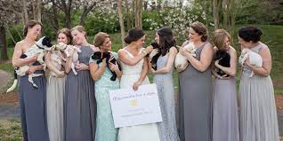 Floral arrangements take time and effort so that you achieve a particular look with the flowers that you use. This Bride Had Her Bridesmaids Hold Puppies Instead Of Bouquets Puppy Wedding Bouquets