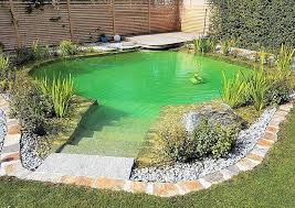 Kleiner Schwimmteich Mit Sonnenliege Schwimmteich Naturschwimmbecken Natur Pool