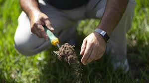 Home grown florida top soil fertile topsoil is essential for a good growing environment for any plant life to thrive. Garden Help Dirt Is Not A Dirty Word