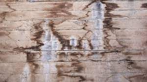Luckily, you don't have to live with the unsightly stain because how to clean stuff found a great way to remove water marks from wood. How To Remove Water Stains From Wood