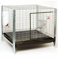 Little Giant Complete Rabbit Hutch Kit | QC Supply