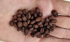 The Best Gourmet Coffee According To Connoisseurs Online 2021 Guide