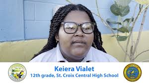 What is Transfer Day?