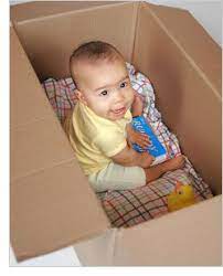 Let S Play Inside The Box Where Did It Go Babycenter Baby Play Activities Infant Activities 9 Month Old Baby Activities