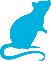 With years of experience in the pest control industry, termite and pest control inc. Firststrike Soft Bait