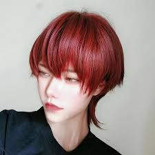 Peluca De Pelo Rojo Vino Harajuku Estilo Mullet Prince Lolita Pelo Corto Y Rizado De Genero Neutro Para Adultos Ninas Hombres Y Mujeres Cosplay Aliexpress