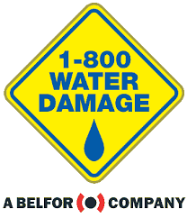Alzheimer's disease is the most common cause of dementia, accounting for approximately 70% of all cases (plassman et al., 2007). Start A 1 800 Water Damage Franchise 2021 Costs Fees