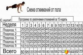 программа тренировок для девушек в тренажерном зале для похудения с картинками Kartinki Po Zaprosu Shema Otzhimanij Trenirovki Trenirovka Tricepsa Trenirovka Na 30 Dnej