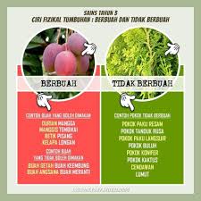 Kertas peperiksaan ini adalah sains / dunia sains dan teknologi untuk murid darjah 3 mengikut kurikulum standard sekolah rendah (kssr). Nota Sains Tahun 3 Bab Smart Mind Home Centre Sibu Facebook