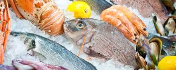 I prodotti frosta possono essere cucinati direttamente, sul retro della confezione di ogni prodotto sono. Come Scongelare Il Pesce Surgelato Ittica Fiorillo