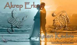Akrep Erkegi Aslan Kadini Aslan Akrep Akrep Burcu