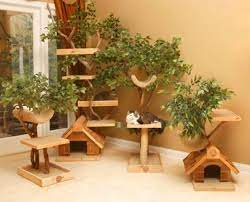 9 Easy Steps On How To Treat Your Cat Cat Tree House Unique Cat Trees Cat Tree