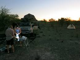 Image result for Petalidium englerianum