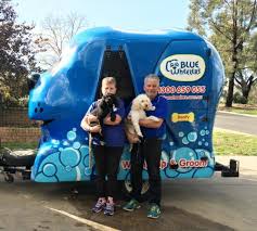 Our at home dog grooming services are as economical as they are exceptional. Mobile Dog Groomer Professional Dog Wash Epsom