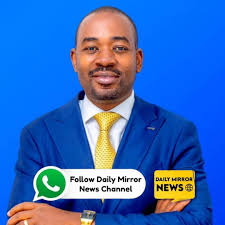 Zanu-pf's vision for young zimbabweans is flawed