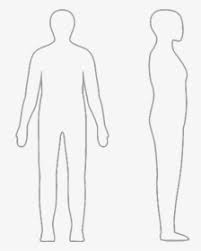 The kidneys are two bilateral bean shaped organs, located in the posterior abdomen. Human Clipart Blank Body Human Body Outline Side View Hd Png Download Kindpng