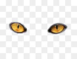 Cat S Eye Png And Cat S Eye Transparent Clipart Free Download Cleanpng Kisspng What you'll need is simply any kind of pencil, or if you i find drawing an oval first makes it easier to get the shape of the eye that you want. cat s eye png and cat s eye transparent