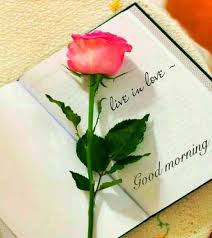 Latest 115 Good Morning Images For My Love Whatsapp Dp Love Dp Dp Images Whatsapp Dp For Gir Good Morning Love Pics Good Morning Love Good Morning Flowers