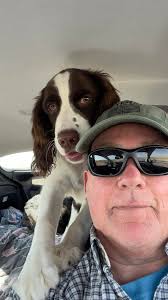 Rescue dogs, best buddies, and possible golden mix