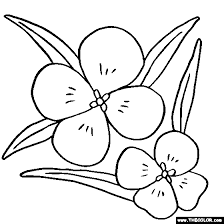 Download Flower Coloring Pages Color Flowers Online