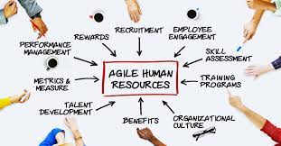 Find & download free graphic resources for human resources. What Would An Agile Human Resources Department Do Business 2 Community