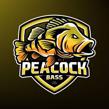 Find over 100+ of the best free fishing images. Peacock Bass Fishing Sport Mascot Logo Peacock Bass Fish Logo Bass Logo