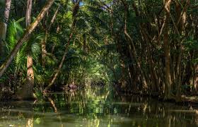 Dominica (amtelk commonwealth dominica) is aan ailoundstoat in do litje antillen, nieper: Dominica Tipps Fur Urlaub Auf Der Karibik Insel Geo