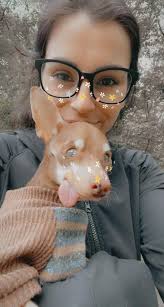 Senior dog for adoption with chronic dermatitis