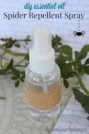 Before using the spray, clean out any webs and egg sacs the spiders already made. Diy Essential Oil Spider Repellent Spray The Homespun Hydrangea