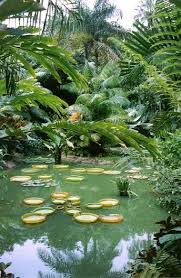 Try These Great Gardening Ideas Even If You Don T Have A Green Thumb Tropische Garten Botanischer Garten Singapur