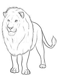 Maybe you would like to learn more about one of these? 20 Easy Lion Drawing Step By Pencil How To Draw Lion Do It Before Me