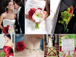 Check spelling or type a new query. Bride Holds Festive Red And White Candy Cane Amaryllis Bridal Bouquet