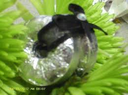 We did not find results for: Hot Shot Krj Dan Trz Krj Pages Directory