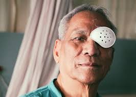 Image result for Isoglossa cataractarum