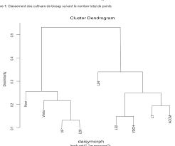 Image result for Solanum grossidentatum