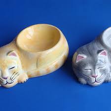 Uyuyan Kedi Gnr Pets