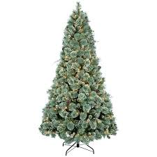 D25 7 5 Pre Lit Audrey Blue Spruce Christmas Tree Blue Spruce Tree Blue Spruce Spruce Christmas Tree