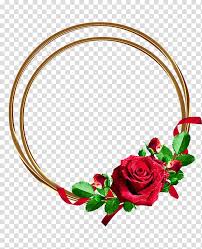 Rose photo frames app is free. Rose Flower Golden Rose Frame Transparent Background Png Clipart Nohat Free For Designer
