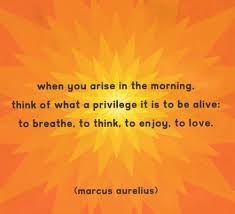 When You Arise In The Morning Think Of What A Privilege It Is To Be Alive To Breathe To Think To Marcus Aurelius Quotes Quote Of The Week Meditation Quotes