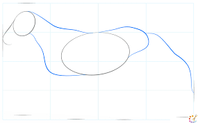 How do you draw a horse head? How To Draw A Horse Step By Step For Kids Beginners