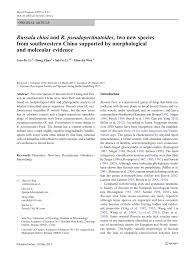 Image result for Russula perlactea