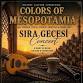 Colors of Mesopotamia - Sira Gecesi Night