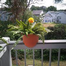 10 best gardener supplies of may 2021. Gardener S Supply Company Reviews 110 Reviews Of Gardeners Com Sitejabber